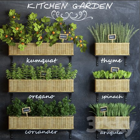 Kitchen garden 3