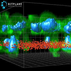 Bitplane Imaris 7.4.2 (x86/x64)