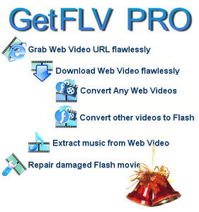 GetFLV Pro 9.96.868 Multilingual