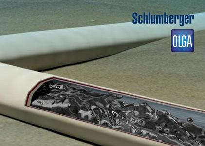 Schlumberger OLGA 2016.2.1 (x64)