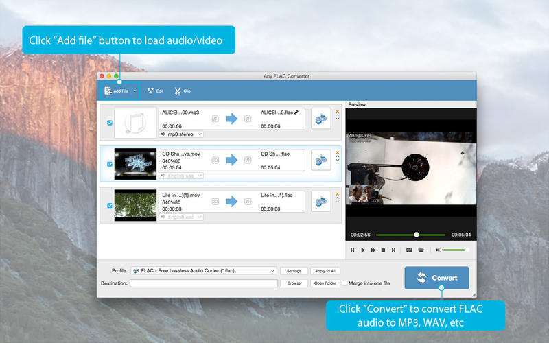 Any FLAC Converter 3.8.19