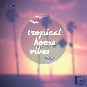 Roundel Sounds Tropical House Vibes Vol.1 MULTiFORMAT