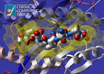 Molecular Operating Environment (MOE) 2015.10