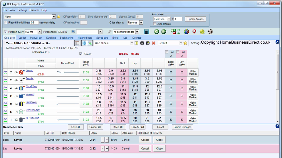 Betfair Scalping (2017)