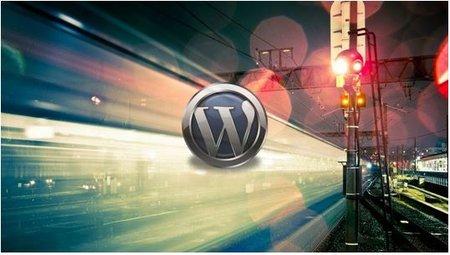 The WpFASTER WordPress Speed Optimization Master Course