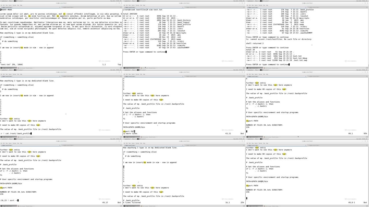 Vim - The Improved Editor