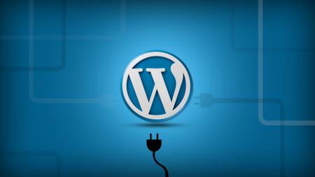 Learn Plugin Development in WordPress By Building Projects