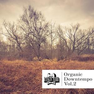 Rankin Audio Organic Downtempo Vol 2 WAV