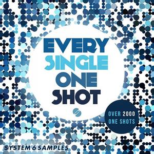 System 6 Samples Every Single One Shot WAV