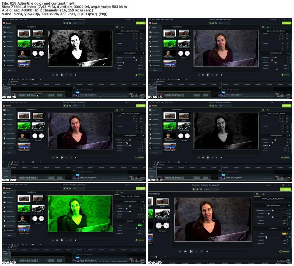 Lynda - Camtasia Advanced Techniques: Video-Based Training