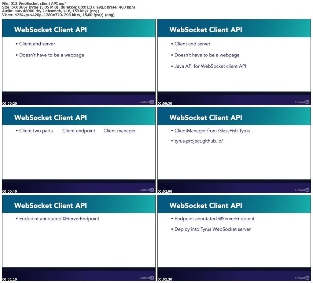 Lynda - WebSocket Programming with Java EE