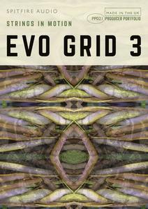 Spitfire Audio PP021 Evo Grid 3 KONTAKT