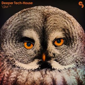 Sample Magic Deeper Tech-House MULTiFORMAT