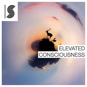 Samplephonics Elevated Consciousness MULTiFORMAT