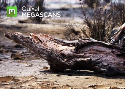 Quixel Megascans Studio 0.922 with Assets