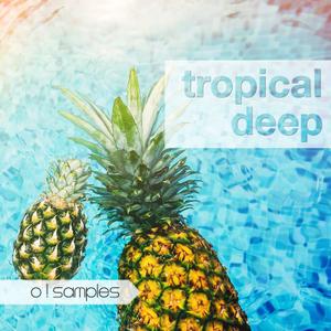 O! Samples Tropical Deep WAV MiDi