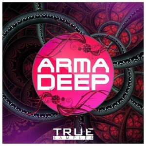 True Samples ArmaDeep WAV MiDi SPiRE