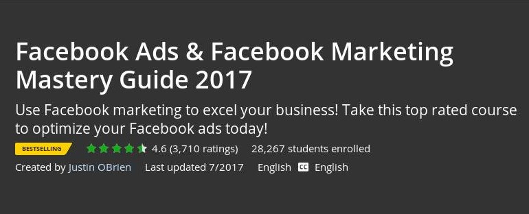 Udemy - Facebook Ads & Facebook Marketing Mastery Guide 2017