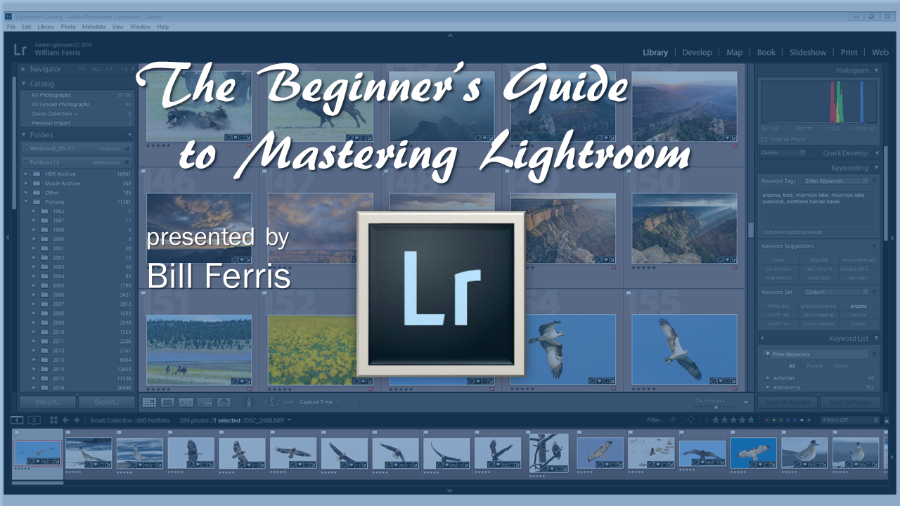 The Beginner's Guide to Mastering Lightroom