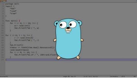 Golang - Learn Google's Go Programming Language