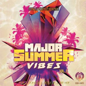 King Loops Major Summer Vibes Vol 1 WAV MiDi SYLENTH1