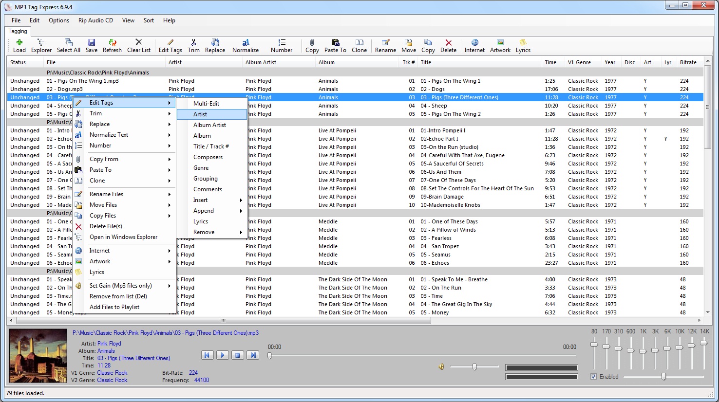 MP3 Tag Expresss 6.9.5 + Portable