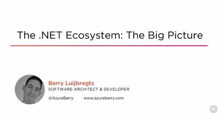 The .NET Ecosystem: The Big Picture