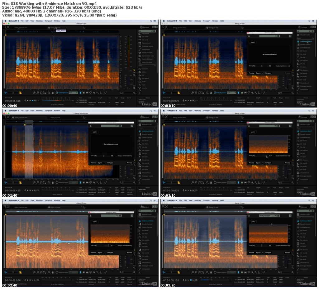 Lynda - Learning iZotope RX 6