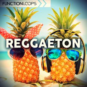 Function Loops Reggaeton WAV MiDi SYLENTH1