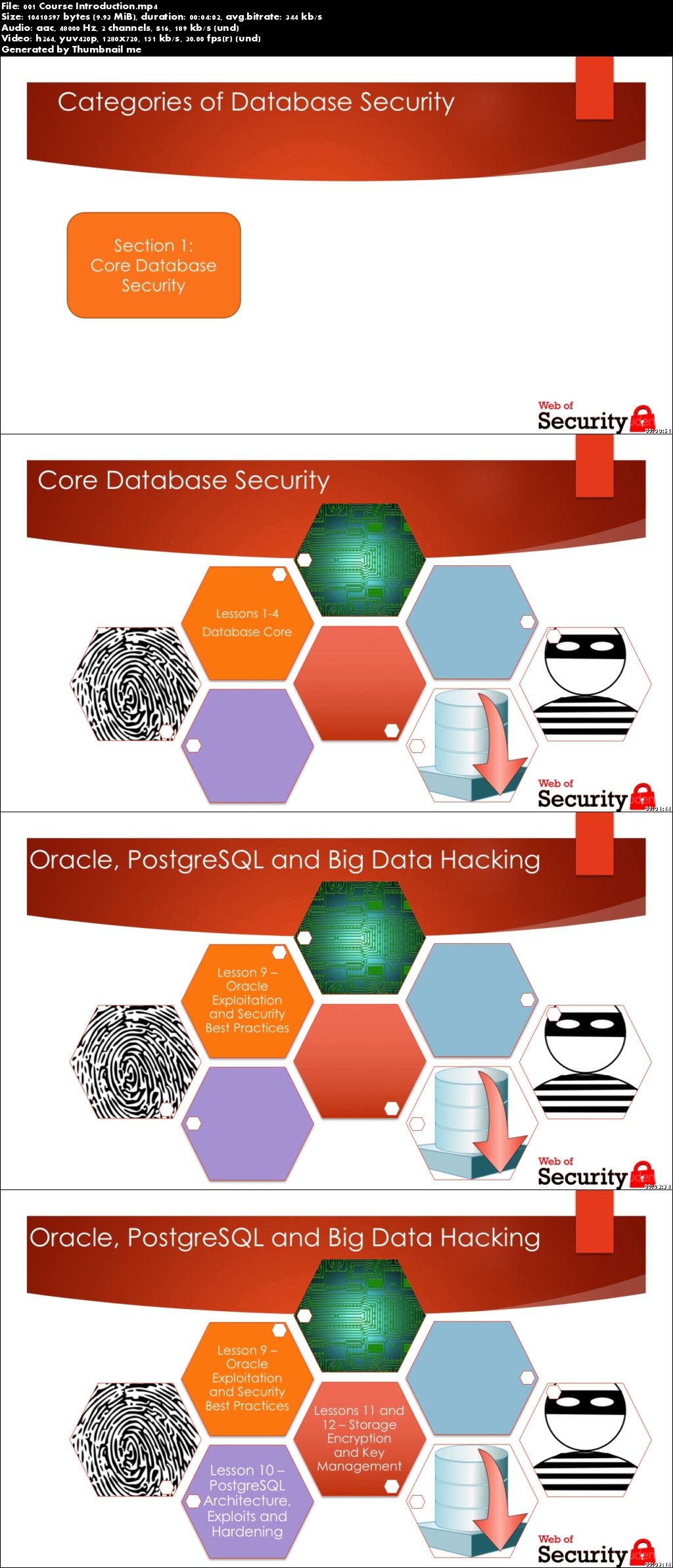 Database Security for Cyber Professionals