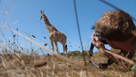 Wildlife Photography: Nature Preserve