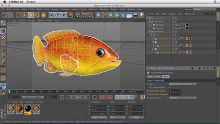 Cinema 4D Essential Training: 6 HyperNURB Modeling and Sculpting