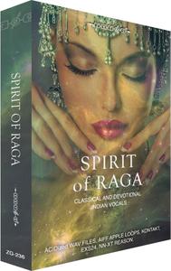 Zero-G Spirit Of Raga MULTiFORMAT