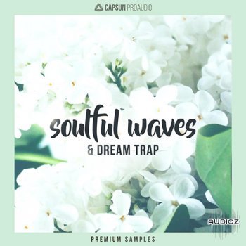 CAPSUN ProAudio Soulful Waves and Dream Trap WAV screenshot