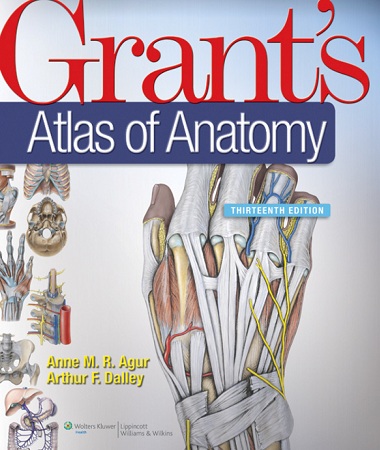 Grant’s Atlas of Anatomy, 13th Edition by Anne M. R. Agur, Arthur F. Dalley-P2P