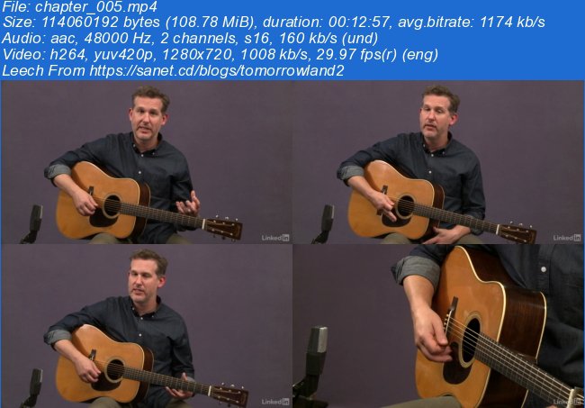 Acoustic Guitar Lessons: 1 Picking, Fretting, & Chords