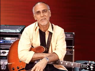 TrueFire - 335 Blues with Larry Carlton's [repost]