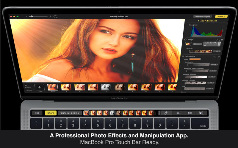 Artistry Photo Pro 2.0.9 Mac OS X