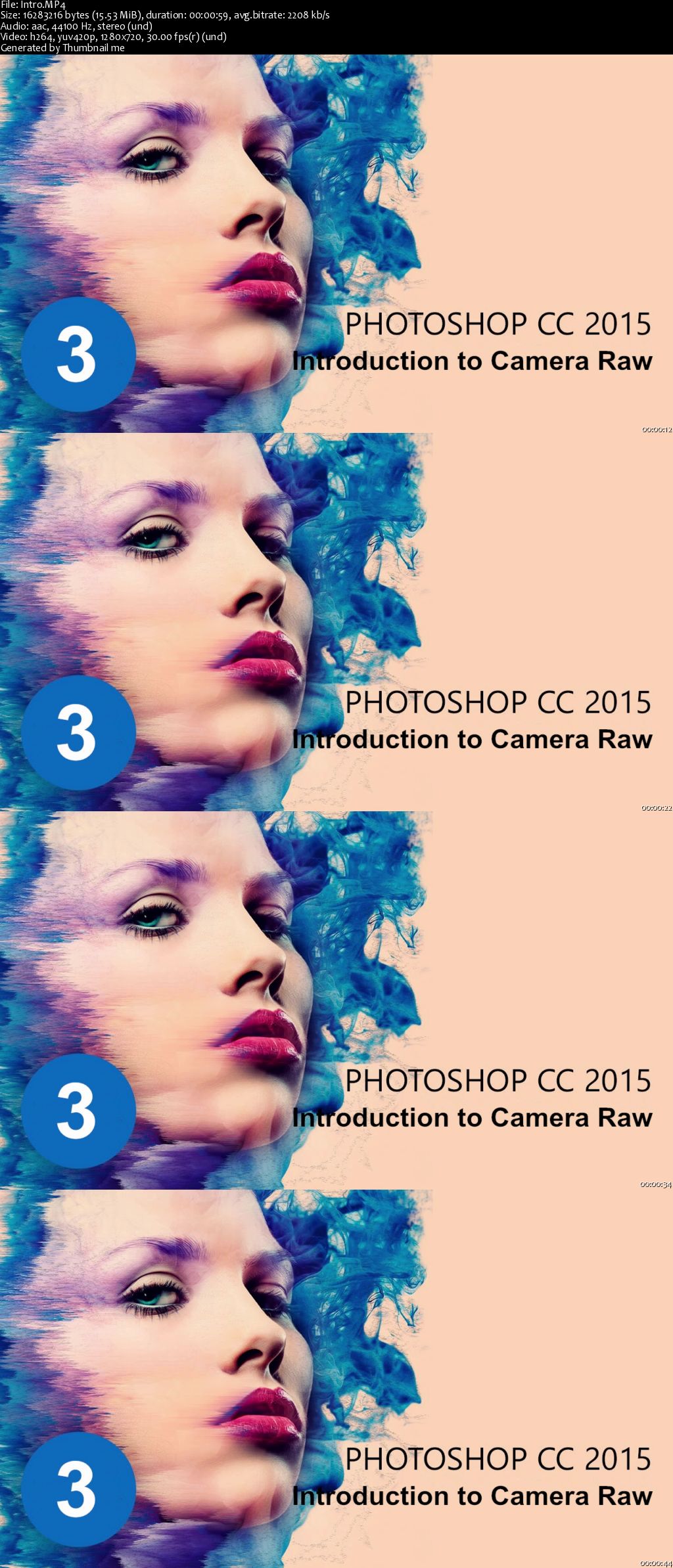 The Ultimate Photoshop CC 2015 Tutorial : Introduction to Camera Raw