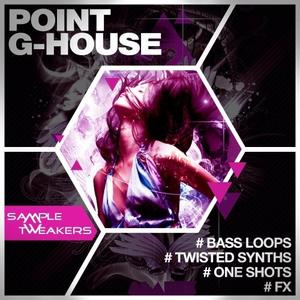 Sample Tweakers Point G House WAV MiDi MASSiVE SYLENTH1