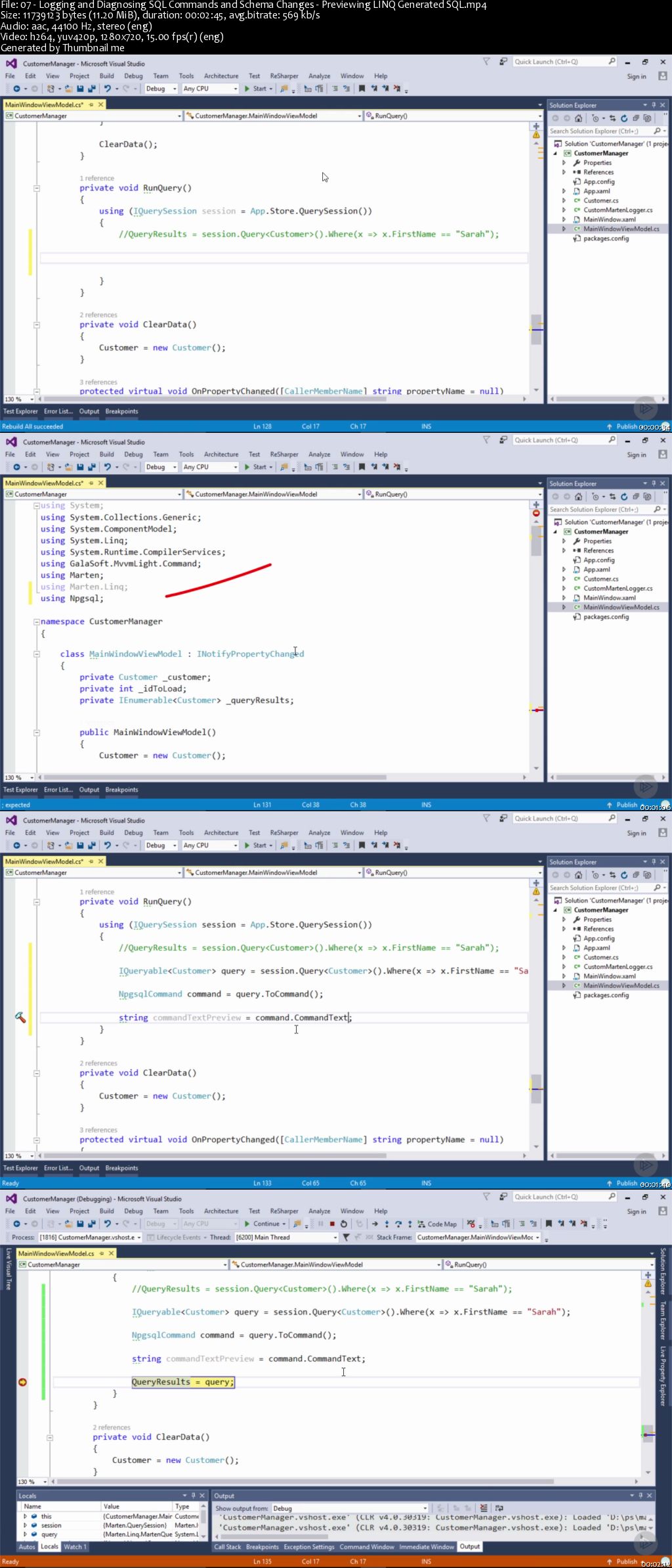 Working with Data and Schemas in Marten