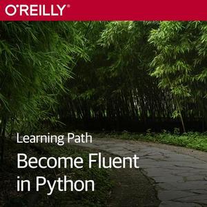 Learning Path: Become Fluent in Python