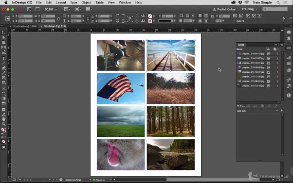 InDesign CC Mastering Objects