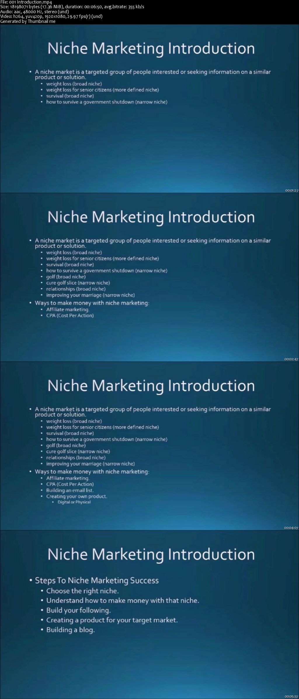 How to build profitable Niche Websites