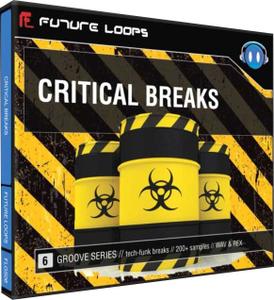 Future Loops CRITICAL BREAKS MULTiFORMAT