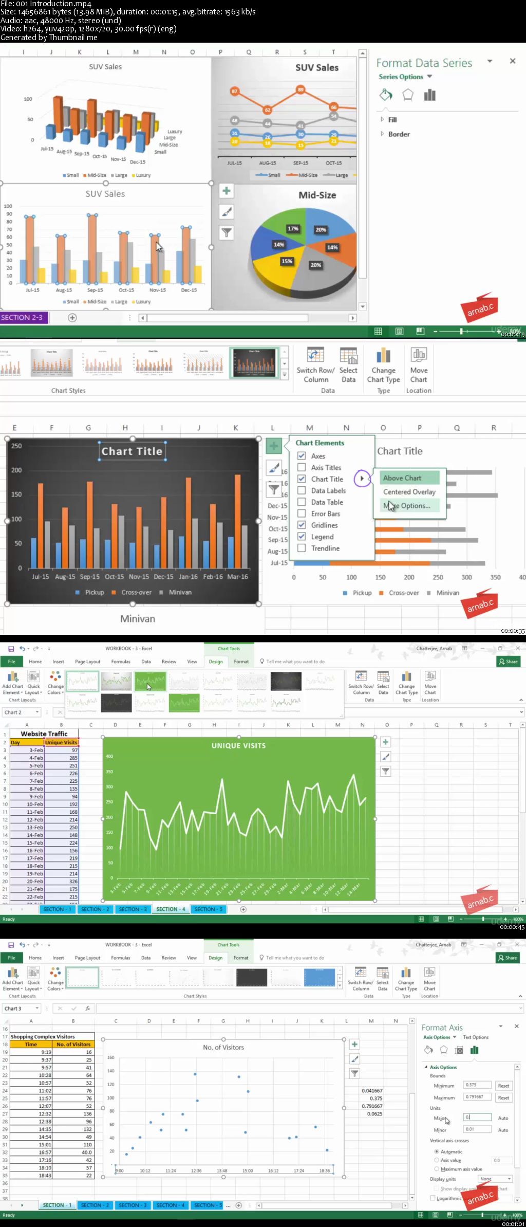 Microsoft Excel 2016: Advanced Training in Charts