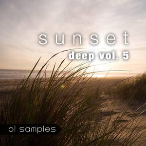 O! Samples Sunset Deep and Vocals Vol 5 WAV MiDi