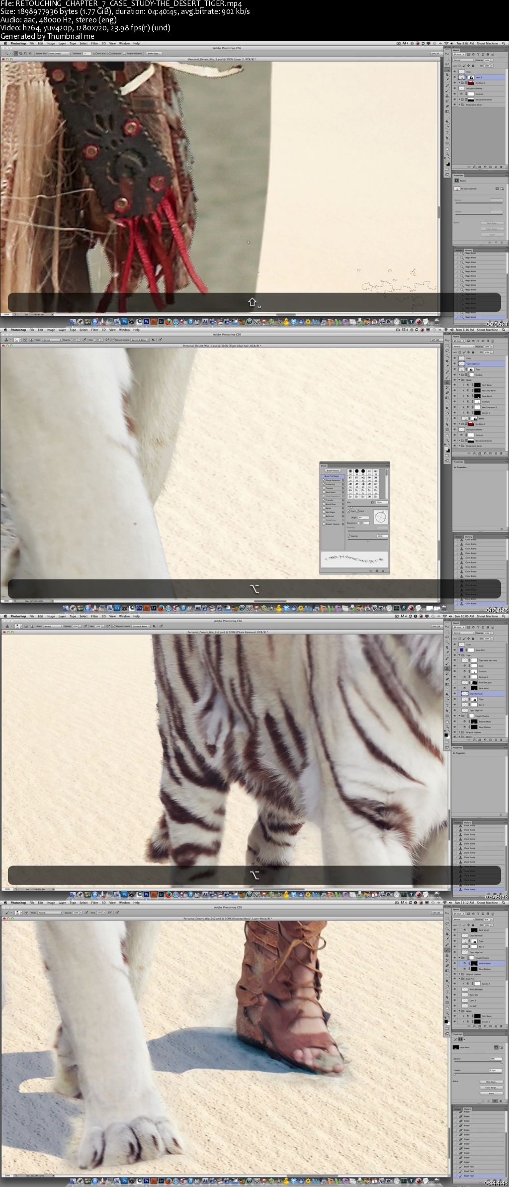 Erik Almas Photoshop Case Study - The Desert Tiger