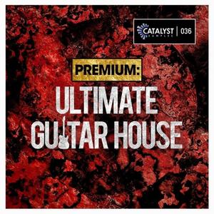 Catalyst Premium Ultimate Guitar House WAV MiDi