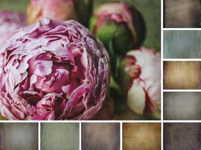 The Art Of Using Textures In Your Photography